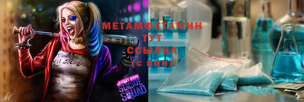 сатива Няндома