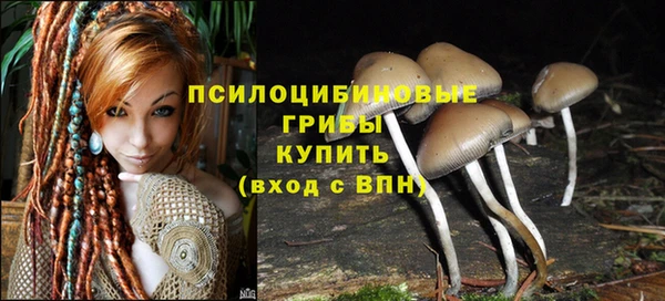 a pvp Галич