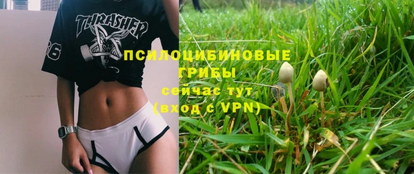 a pvp Галич