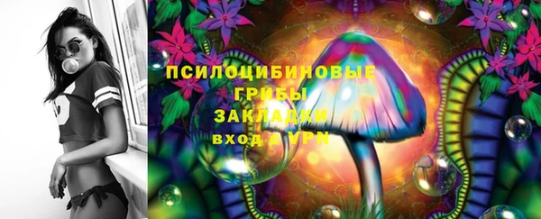 соль курить ск Нязепетровск
