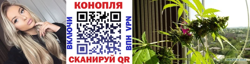 Бошки Шишки гибрид  MEGA ССЫЛКА  Покров 